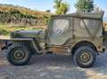 Jeep Willys Willys Ford - thumbnail 3