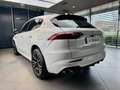 Maserati Grecale 2.0 mhev GT 250 Cv , C. 20" , Pinze fr. rosse Blanc - thumbnail 6