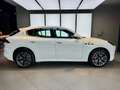Maserati Grecale 2.0 mhev GT 250 Cv , C. 20" , Pinze fr. rosse Blanc - thumbnail 5