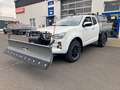 Isuzu D-Max Space Cab LS AT + Kipper + Winterdienst + Weiß - thumbnail 10