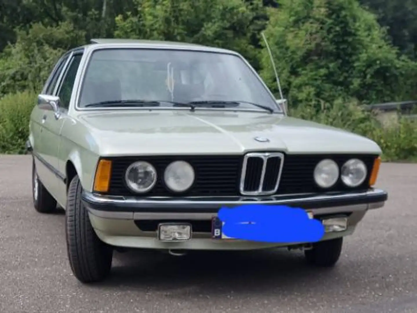 BMW 318 Vert - 1