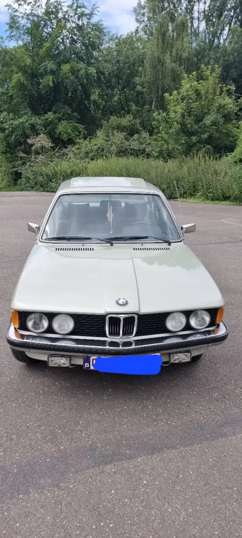BMW 318 Vert - 2