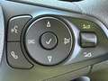 Opel Combo Cargo L 1000kg Diesel 1.5 100HP S&S MT E Blanc - thumbnail 23