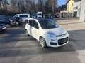 Fiat Panda Young Weiß - thumbnail 8