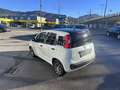Fiat Panda Young Weiß - thumbnail 3