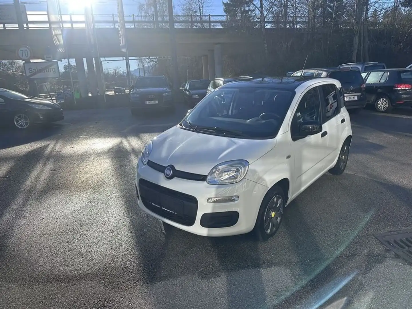 Fiat Panda Young Weiß - 1