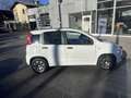 Fiat Panda Young Weiß - thumbnail 7