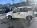 Fiat Panda Young Weiß - thumbnail 2