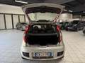 Fiat Punto 3p 1.2 Dynamic Beige - thumbnail 9