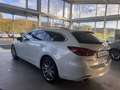 Mazda 6 Kombi 2.5 Takumi GSD AUTOMATIK Weiß - thumbnail 8