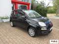 Fiat Panda 1.2 Easy Nero - thumbnail 3