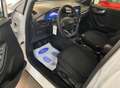 Ford Puma 1.0 EcoBoost MHEV ST-Line 125 Blanco - thumbnail 6