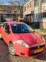 Fiat Punto Punto 1.2 Sportsound Rojo - thumbnail 2