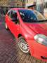 Fiat Punto Punto 1.2 Sportsound Rojo - thumbnail 8