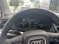 Audi Q5 40 TDI quattro advanced AHK-klappbar El. Panodach Noir - thumbnail 8