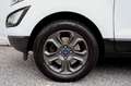 Ford EcoSport 1.0 EcoBoost Trend Ultimate - 125 pk **Navi / PDC Blanc - thumbnail 27