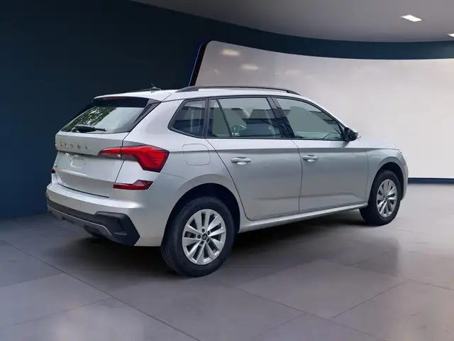 Skoda Kamiq view 6
