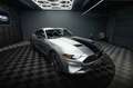 Ford Mustang Shelby GT Coupe Performance PREMIUM LED Silber - thumbnail 8