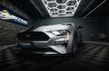 Ford Mustang Shelby GT Coupe Performance PREMIUM LED Silber - thumbnail 6