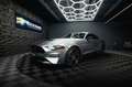Ford Mustang Shelby GT Coupe Performance PREMIUM LED Silber - thumbnail 1
