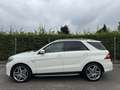 Mercedes-Benz ML 63 AMG ML 63 AMG ohne OPF (166.074) Weiß - thumbnail 9