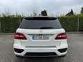 Mercedes-Benz ML 63 AMG ML 63 AMG ohne OPF (166.074) Weiß - thumbnail 6