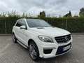 Mercedes-Benz ML 63 AMG ML 63 AMG ohne OPF (166.074) Weiß - thumbnail 3
