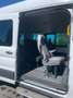Ford Transit Bus Weiß - thumbnail 5