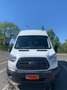 Ford Transit Bus Weiß - thumbnail 4