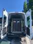 Ford Transit Bus Weiß - thumbnail 6
