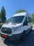 Ford Transit Bus Weiß - thumbnail 1
