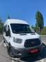 Ford Transit Bus Weiß - thumbnail 2