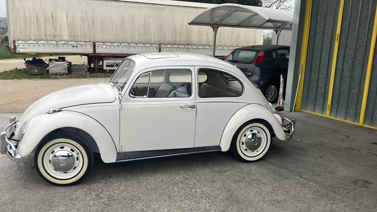 Volkswagen Beetle Maggiolino 1966