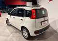 Fiat Panda 1.3 MJTD S&S 75cv-2013 Blanc - thumbnail 3