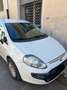 Fiat Punto Evo 5p 1.3 mtj Active 75cv Bianco - thumbnail 8
