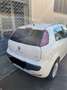 Fiat Punto Evo 5p 1.3 mtj Active 75cv Bianco - thumbnail 7