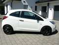 Ford Ka/Ka+ Ambiente 1.25 [Alu/nur 68.700 KM] Blanc - thumbnail 4