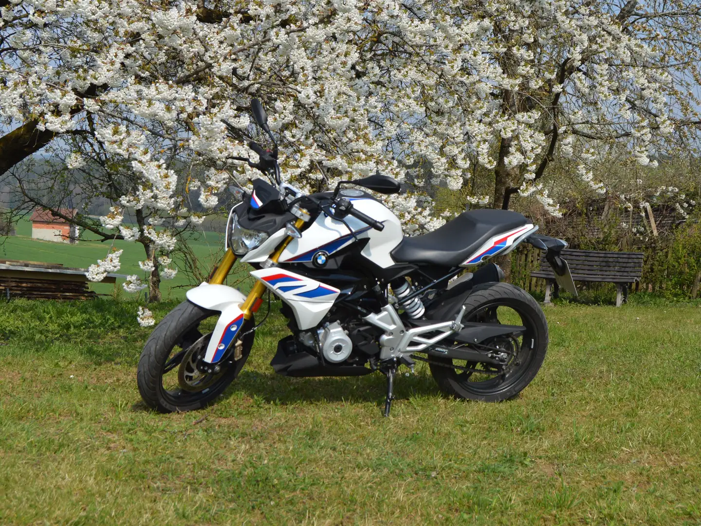 BMW G 310 R Weiß - 1
