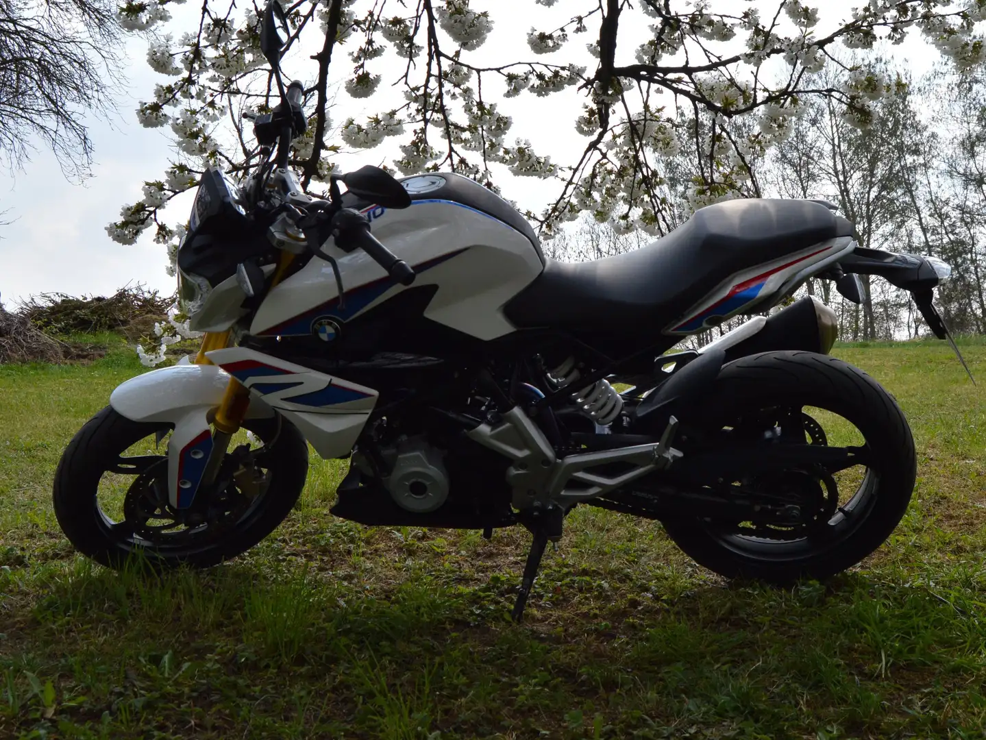 BMW G 310 R Weiß - 2