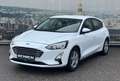 Ford Focus Trend Weiß - thumbnail 2