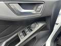 Ford Focus Trend Weiß - thumbnail 17
