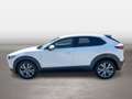 Mazda CX-30 Comfort+ Weiß - thumbnail 2