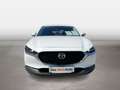 Mazda CX-30 Comfort+ Weiß - thumbnail 8