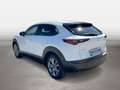 Mazda CX-30 Comfort+ Weiß - thumbnail 3