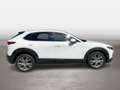 Mazda CX-30 Comfort+ Weiß - thumbnail 6