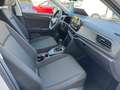 Volkswagen T-Roc 1.0 TSI 6-Gang Weiß - thumbnail 11