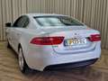 Jaguar XE 2.0 TURBO 200 PK / Portfolio / Memory / Stoel-Stuu Biały - thumbnail 8