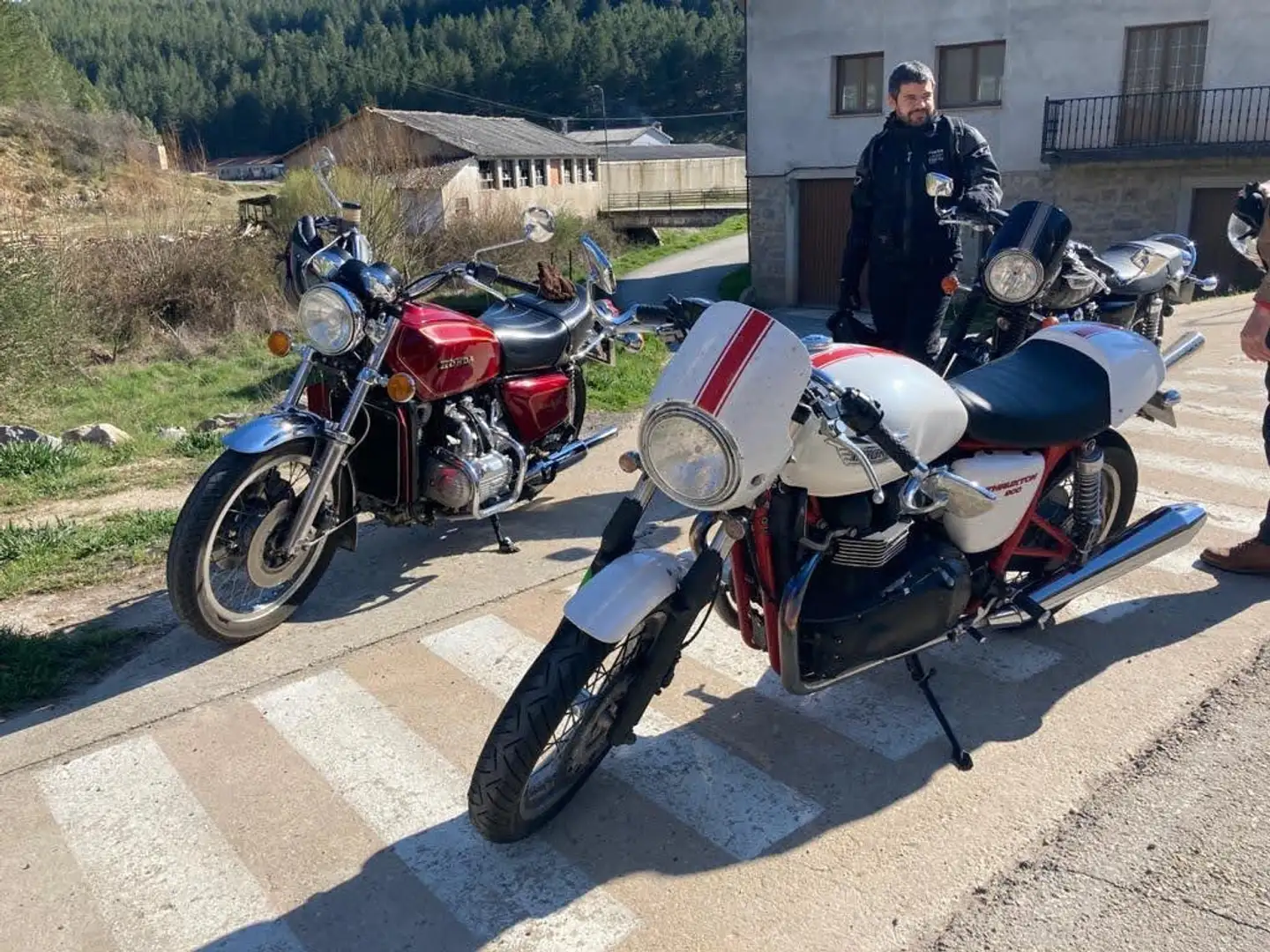 Triumph Thruxton 900cc Alb - 1