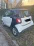 smart forTwo smart fortwo coupe passion Weiß - thumbnail 3