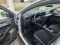 Ford Focus Focus 1,5 EcoBlue Titanium Aut. Silber - thumbnail 6